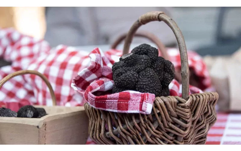 Image d'illustration pour l'article