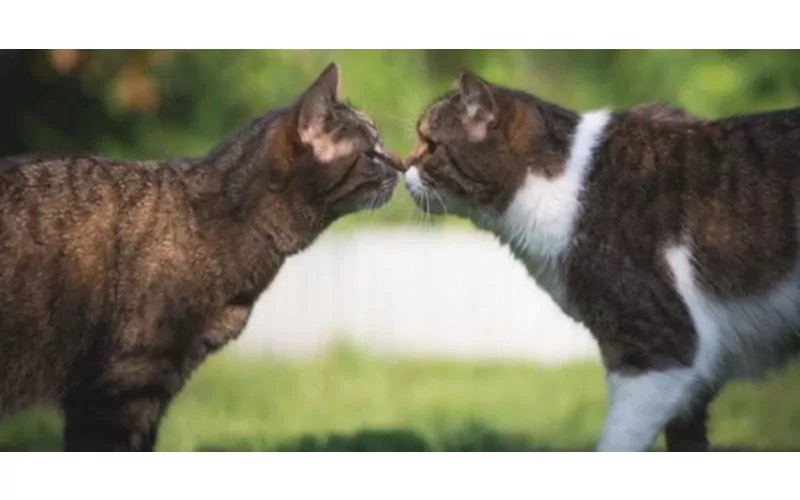 Image d'illustration pour l'article