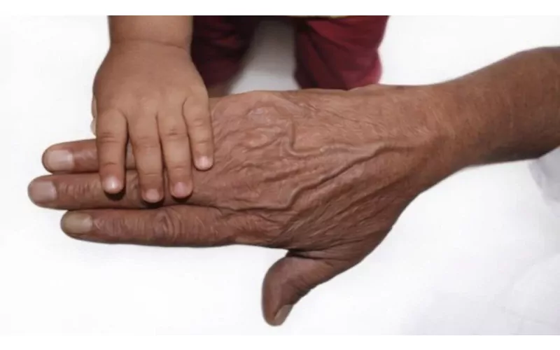 Image d'illustration pour l'article