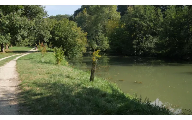 Image d'illustration pour l'article